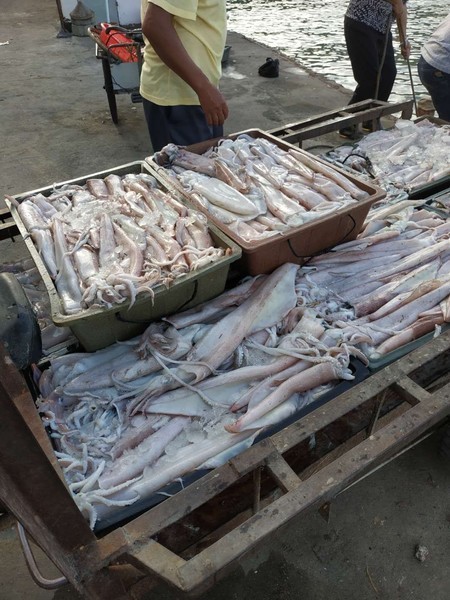 汕头南澳岛旅游住宿攻略,潮州南澳岛三日旅游攻略