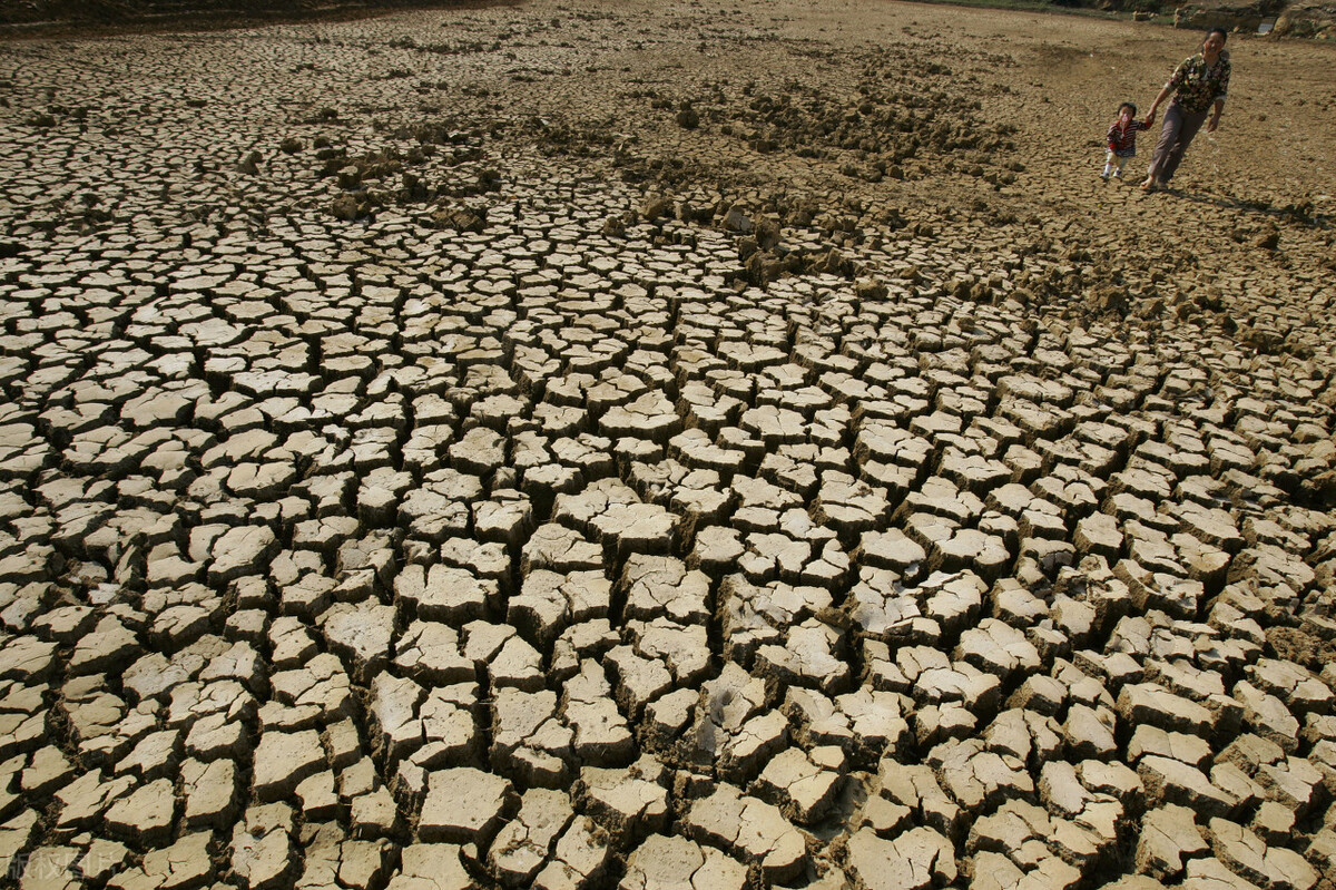 中国父亲是怎样培养中非混血儿的？儿子曾担任联合国大会主席