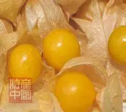 世界稀奇水果品种大全,世界热带奇特水果品种介绍