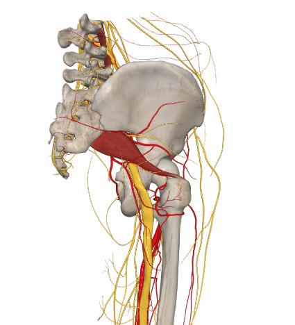 椎间孔镜微创手术后腿往外拐,椎间孔镜微创手术后防止复发
