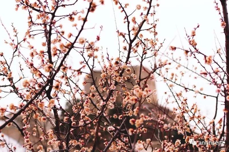 驾车从蔚县到涞源飞狐陉,蔚县飞狐陉自驾游攻略