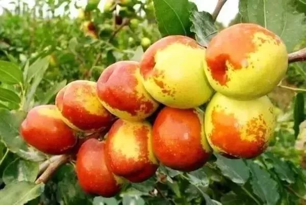 国庆节国内旅游景点全攻略,国庆七天哪里玩最好