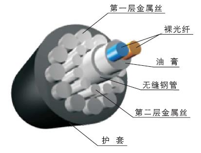 分布式光纤温度测量系统原理,分布式光纤应变监测系统应用场景