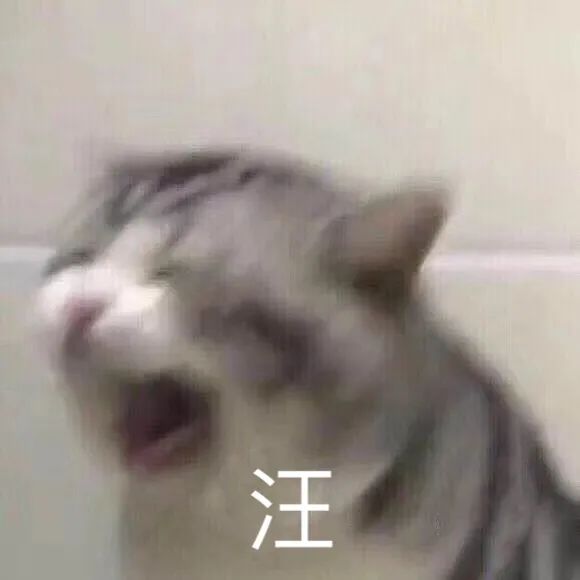 过期的火腿肠可以喂猫狗吗,网上销售过期火腿肠当狗食犯法吗