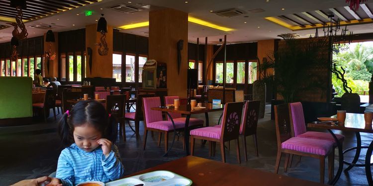 三亚红树林有亲子活动,三亚红树林和海韵