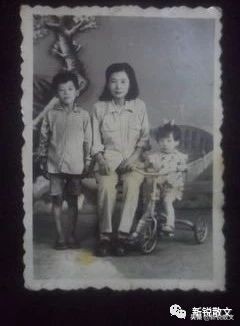 精致婆婆,妈妈与婆婆到底有什么区别