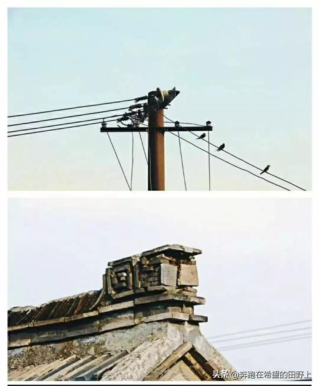 田间地头小憩,田间地头歇会儿