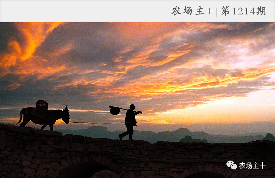 回农村小本创业,农村冷门小本创业生意