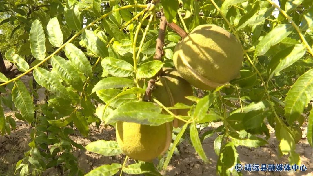 闈栬繙鍘挎渶鏂板ぇ浜嬩欢,2019闈栬繙鏂伴椈