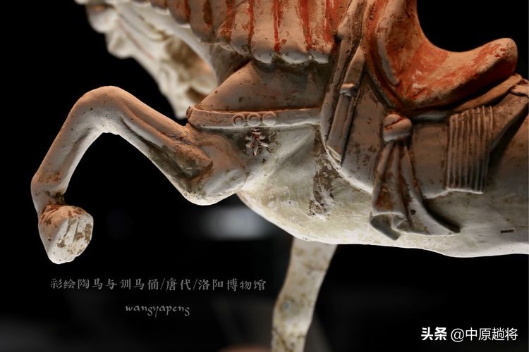 洛阳博物馆专门为二十多件珍宝成立了一个展馆