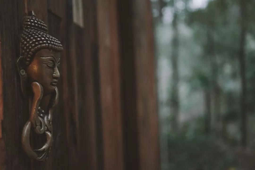 森林秘境的温泉,森林里野奢温泉度假酒店下午茶