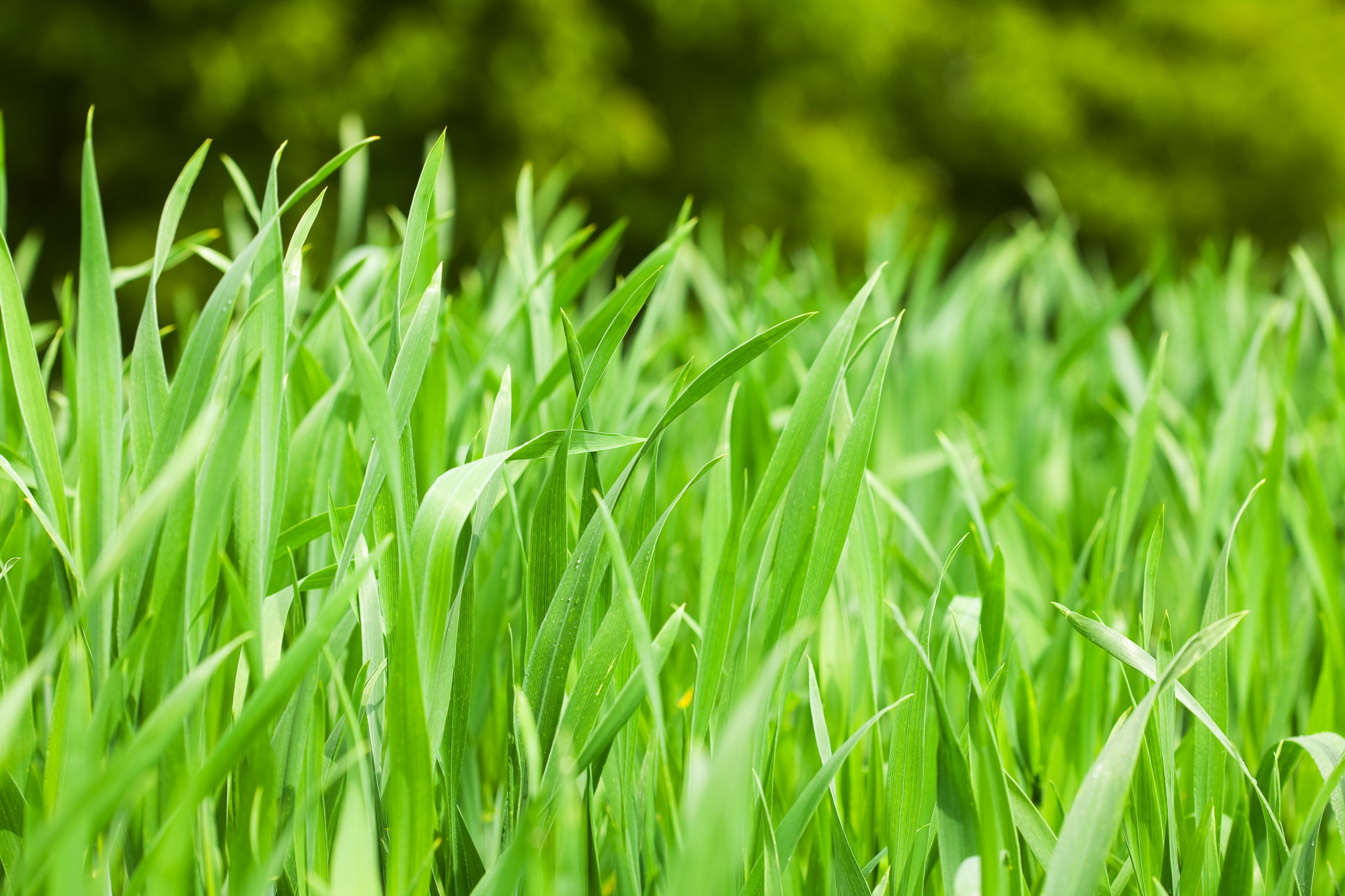 面对自作多情的人,面对多情的男人