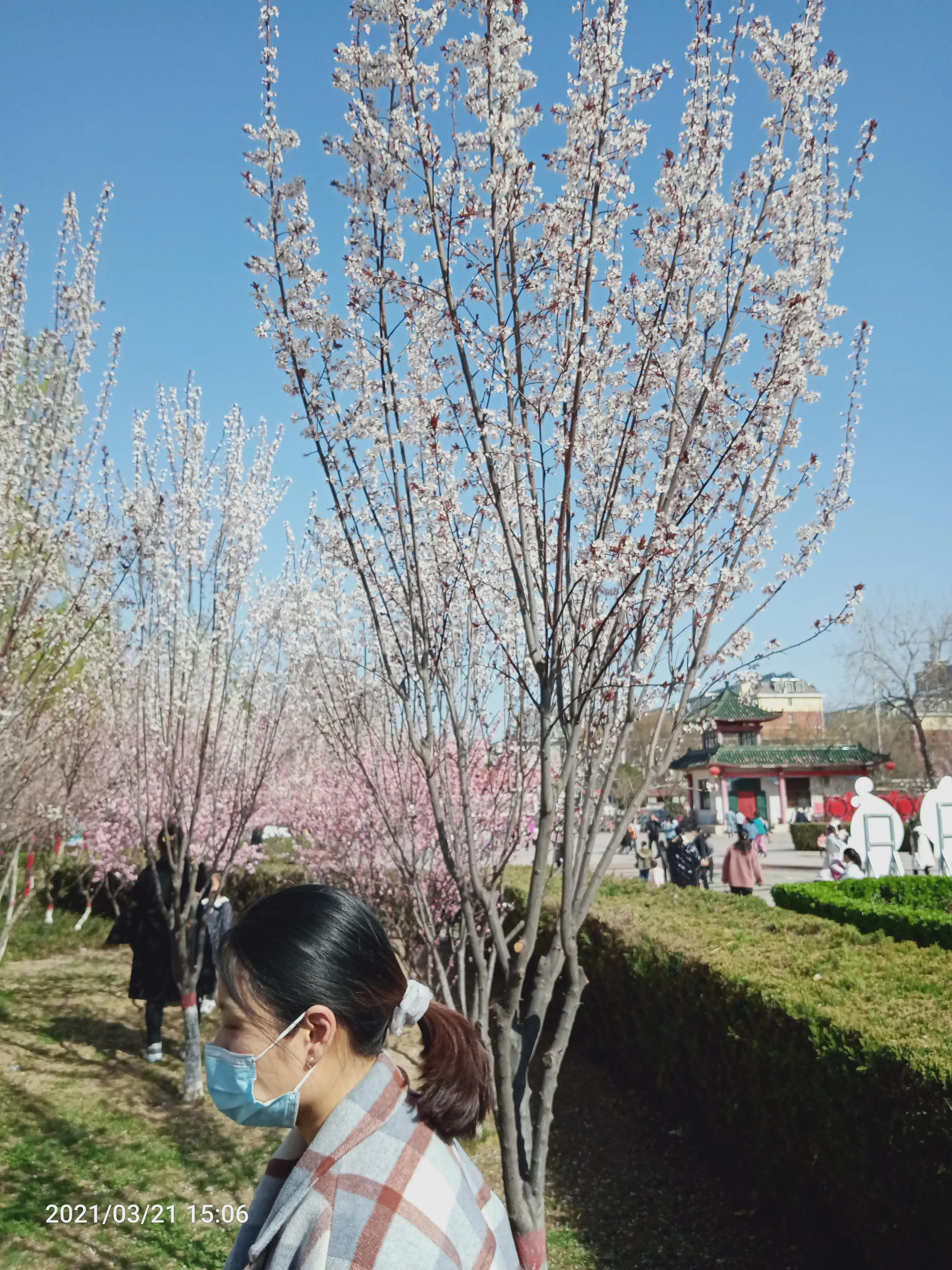 沙河美丽,沙河的天气