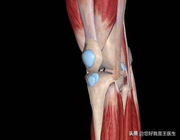 中频脉冲电治疗膝关节方法,低中频调理膝关节手法