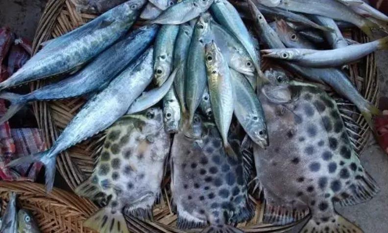 浣犲涔呮病鍘绘捣杈瑰害鍋囦簡,浣犲涔呮病鏈夊嚭闂ㄦ梾娓镐簡