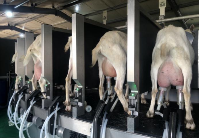 第十届中国国际奶业展览会,国际奶业博览会