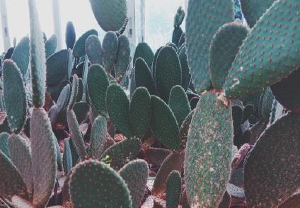 昆明适合拍照的景点有哪些,昆明大理周边旅游景点排名榜前十