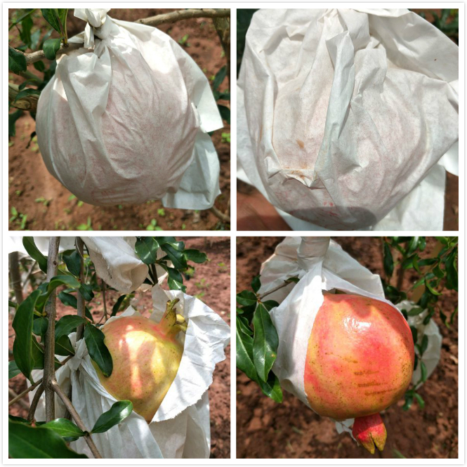 濂楄鐭虫Υ,鐭虫Υ濂楄鍜屼笉濂楄鐨勫ソ澶勪笌缂虹偣