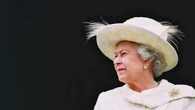 凯特王妃同款顺发梳多少钱,凯特王妃梳子旗舰店