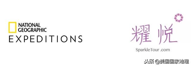 一叶一菩提由来,一叶一菩提是什么特色