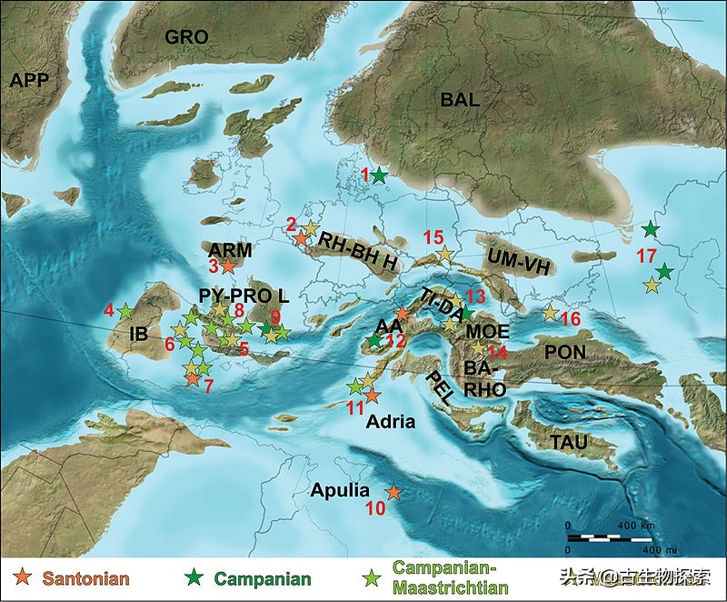 以恐龙为食的翼龙像飞机一样大！
