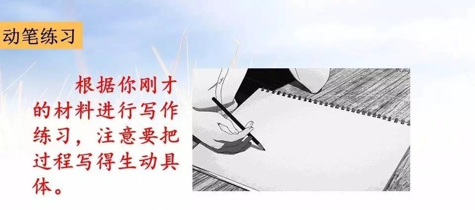 部编五上我的心爱之物作文,五上语文我的心爱之物范文