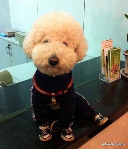 这才是真正的游戏,这才是真正的射击游戏