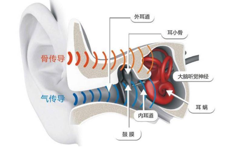 韶音耳机as800升级版,韶音as800耳机几种价格