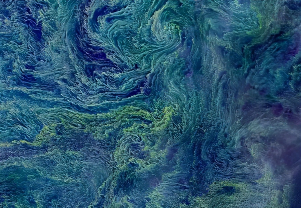 地球上最原始最古老的是什么藻类,地球最早的史前生物