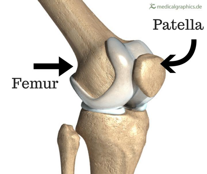 腿型评估指标详解,腿型评估分析