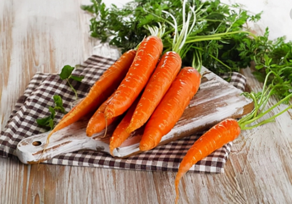 热天养兔要预防哪些疾病,养兔技巧及病兔药物预防