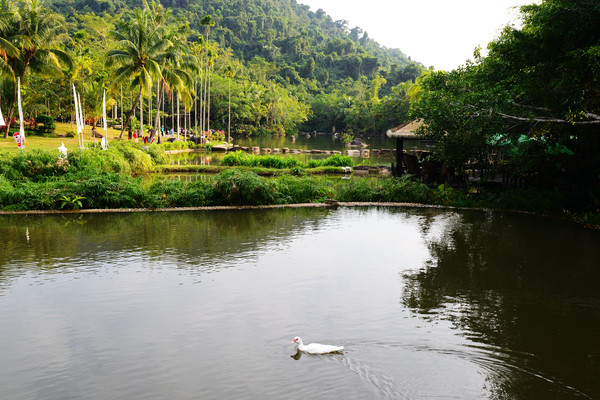 海南呀诺达热带雨林文化旅,三亚诺达雨林旅游攻略