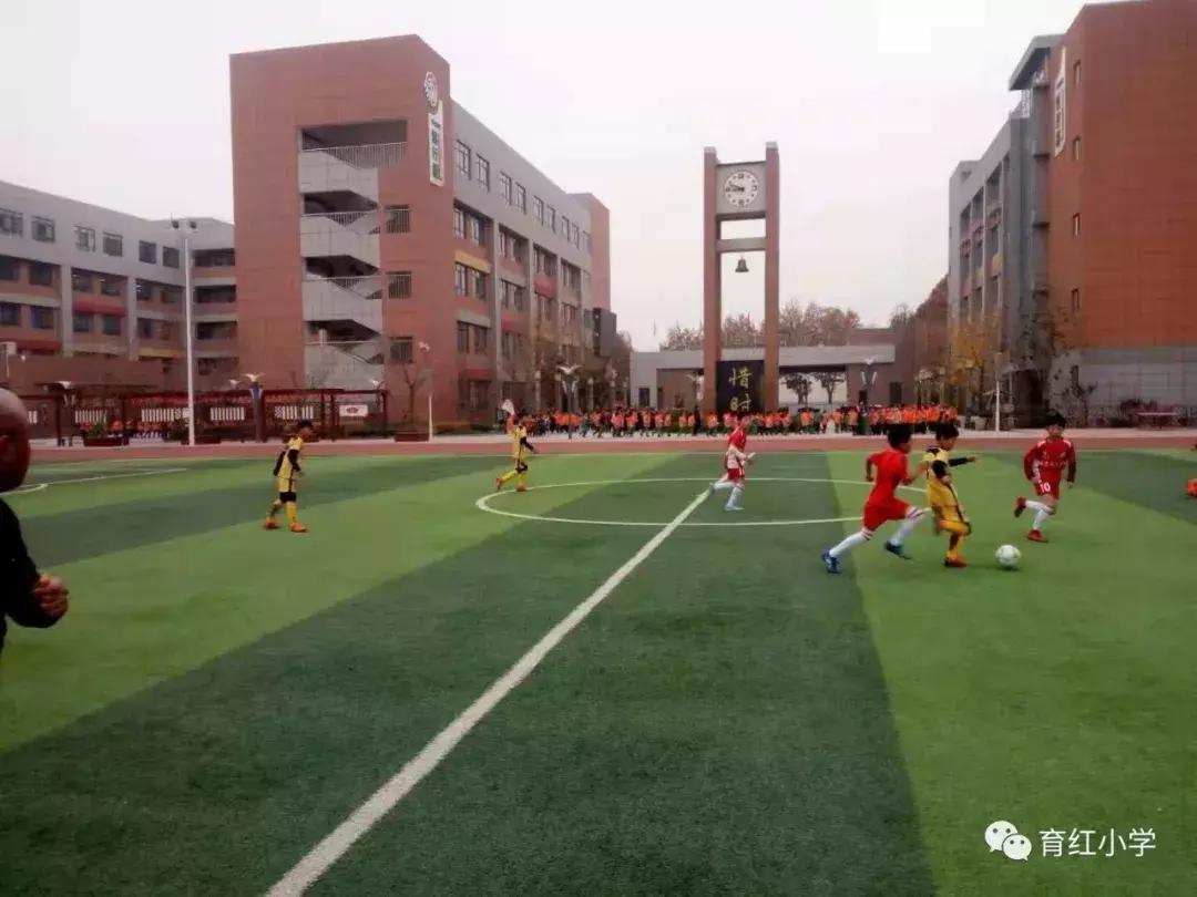 育红小学足球比赛,育红小学2024运动会