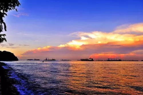 实话实说，8种留学生门派，你属于哪种？