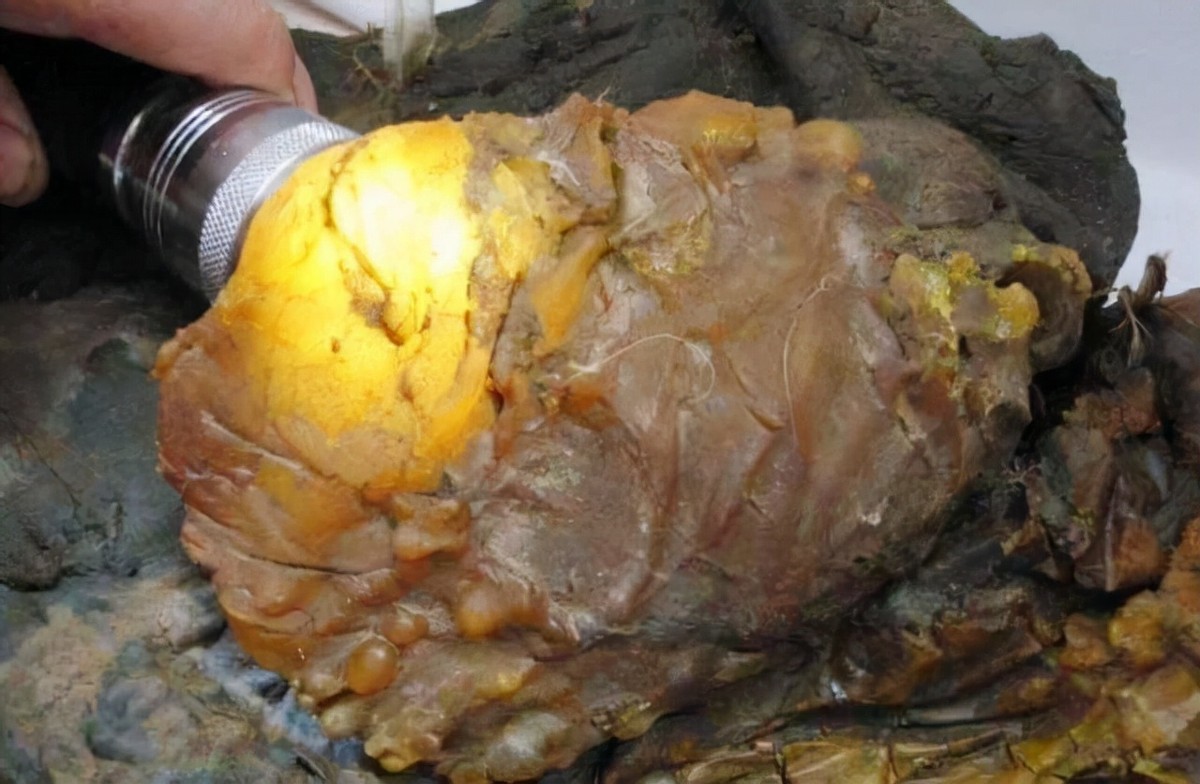 6年前捡到太岁,捡到太岁农民现在过得怎么样了