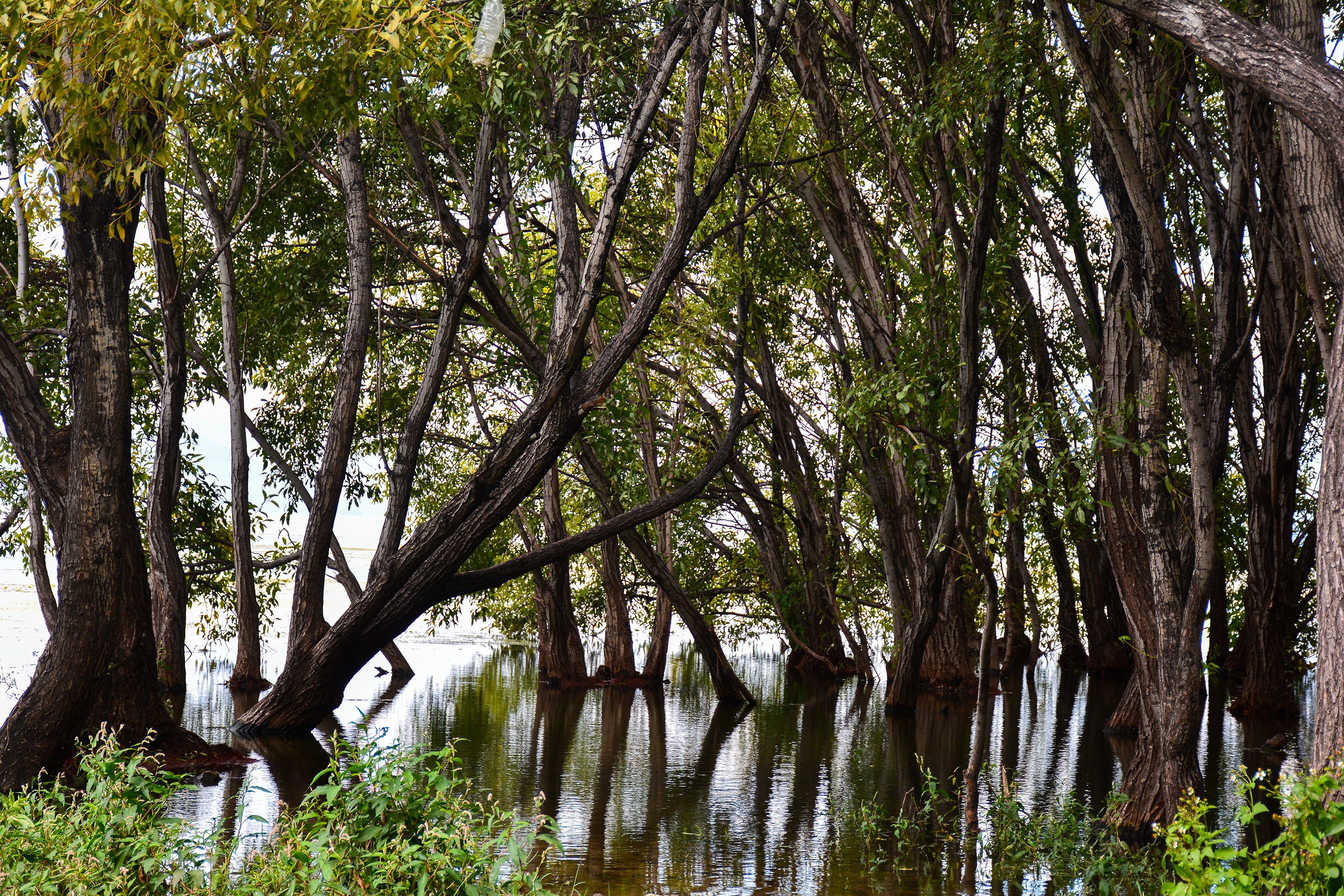 湛江去云南旅游怎么省钱,云南旅游自由行省钱攻略