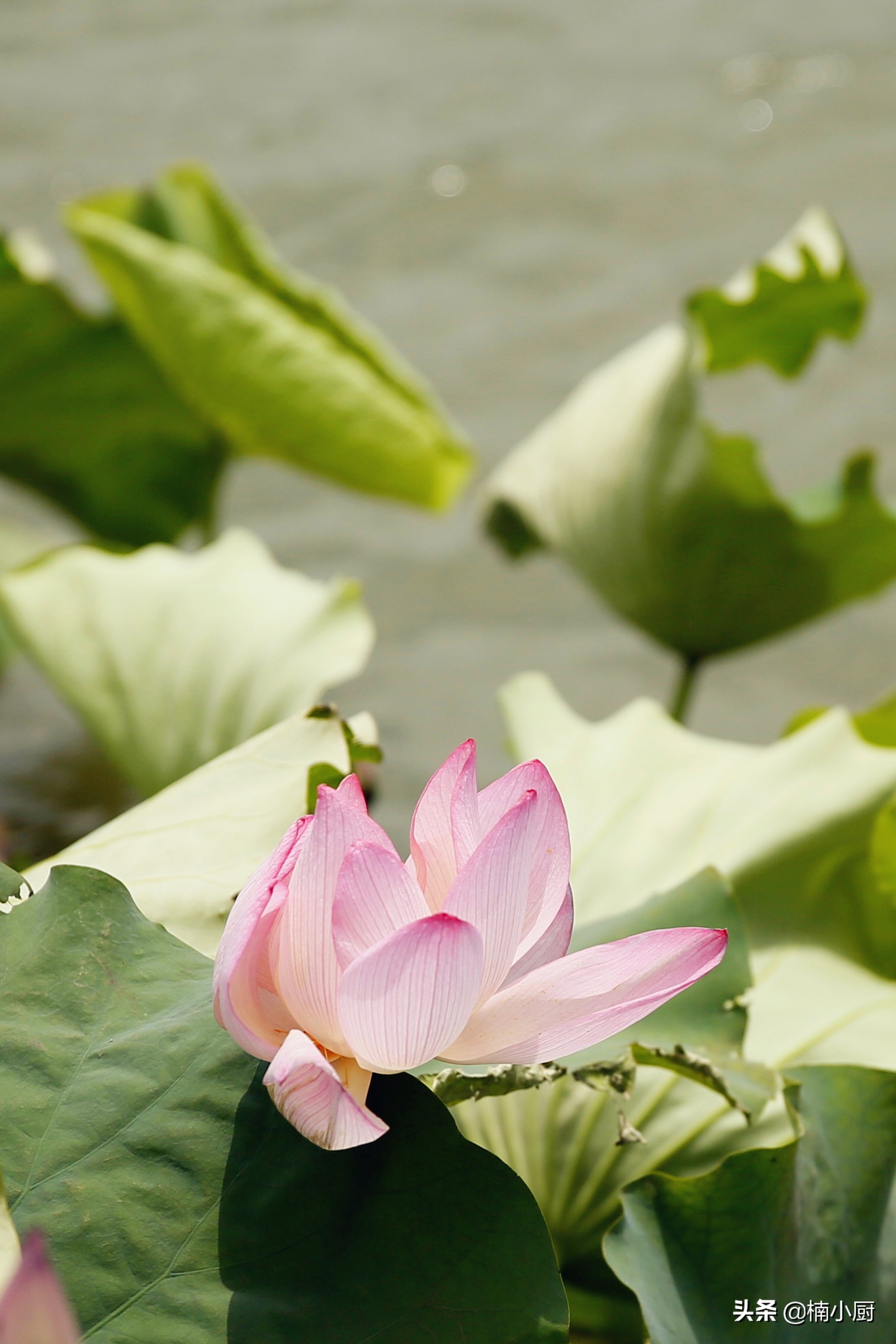 宁波旅游东钱湖,旅行宁波