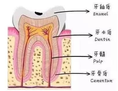 牙齿小洞不补下一句是什么,牙齿小洞不补大洞吃苦的意思