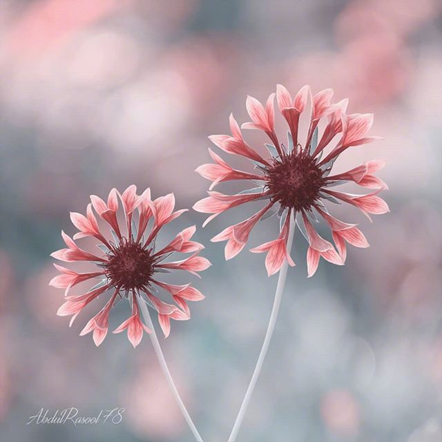 容易硬碰硬的四大星座,看似软柿子实际是硬茬的4个星座