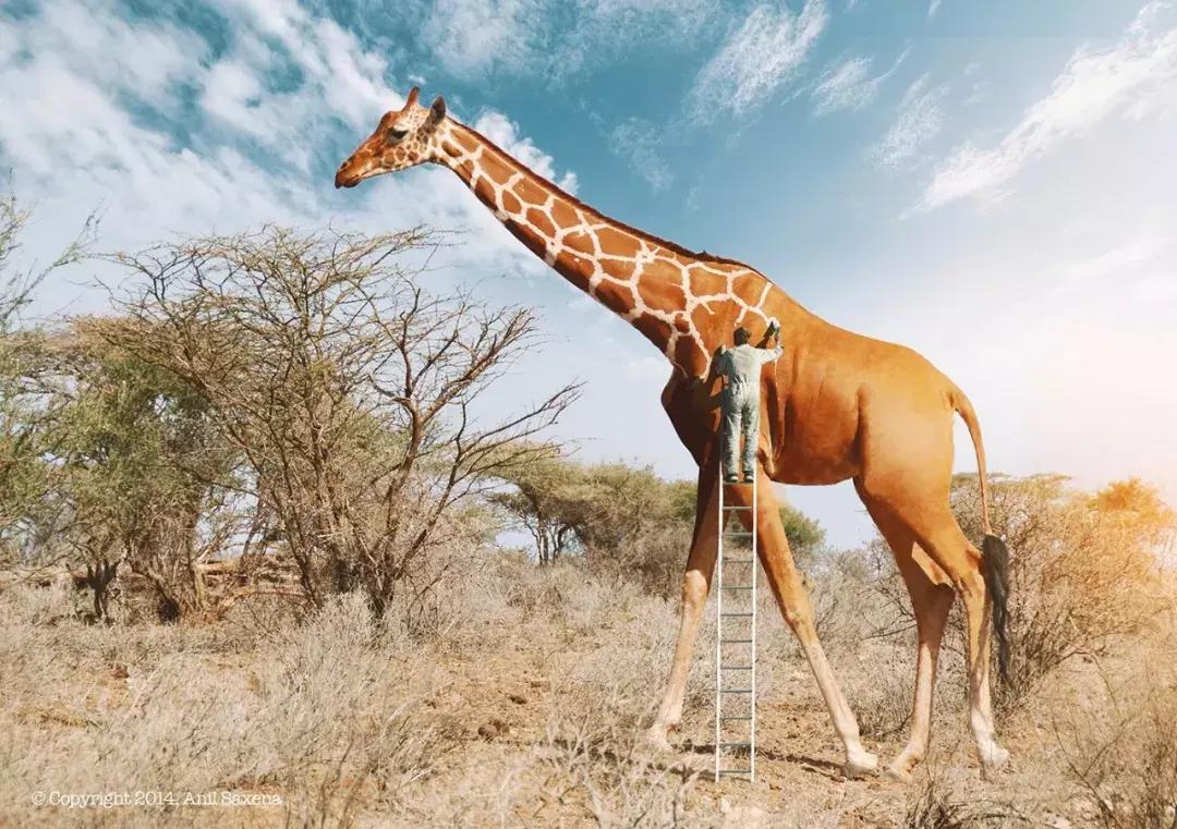 ps大神到底可以多强大,ps真好用吗