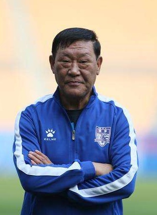 中国老帅,国产足球老教练