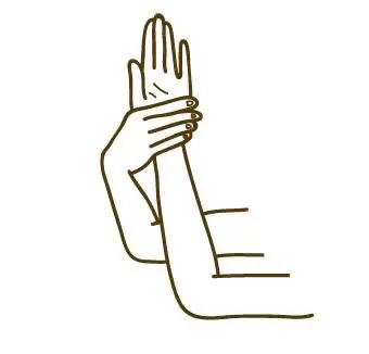 有关乳房的十个冷知识,25条胸部冷知识