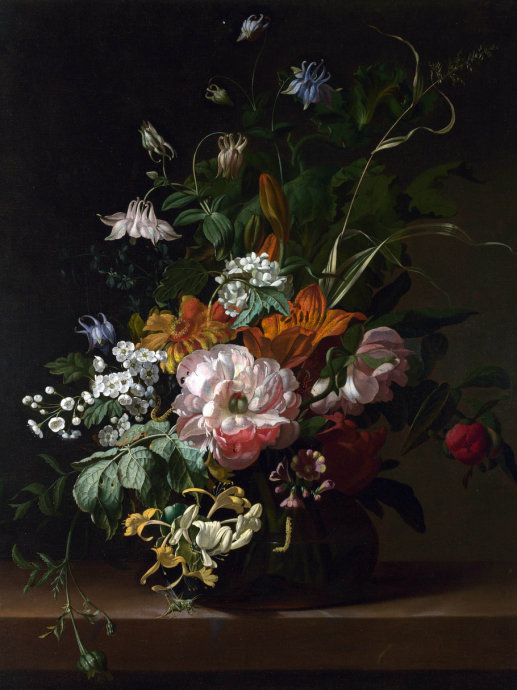 精美花图片大全,好看鲜花图片手绘