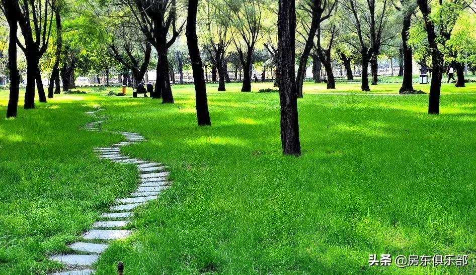 现在是入手基金的时候吗,现在在郑州惠济区买房子合适吗