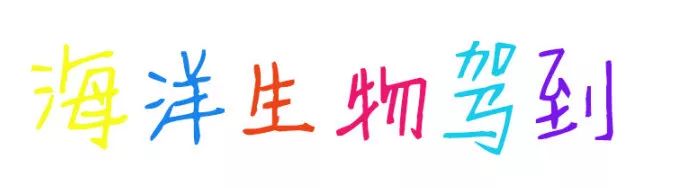 大连么么哒动物园 (大连小众动物园)