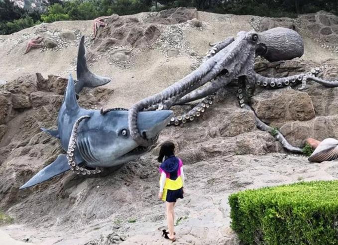 大连滨海路几月最美,大连最美季节