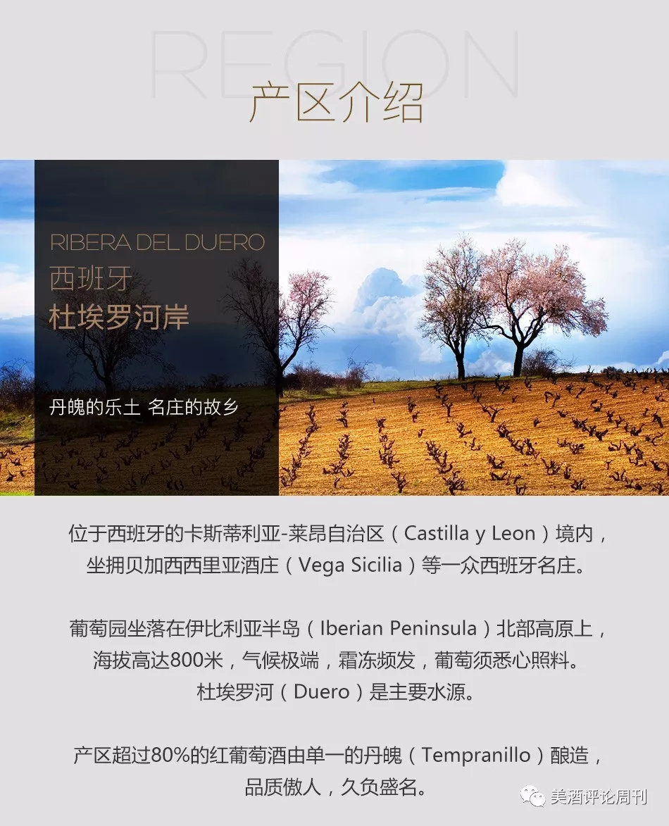 最贵、最知名、最超值、最具潜力！充满「最」的超级话题性产区