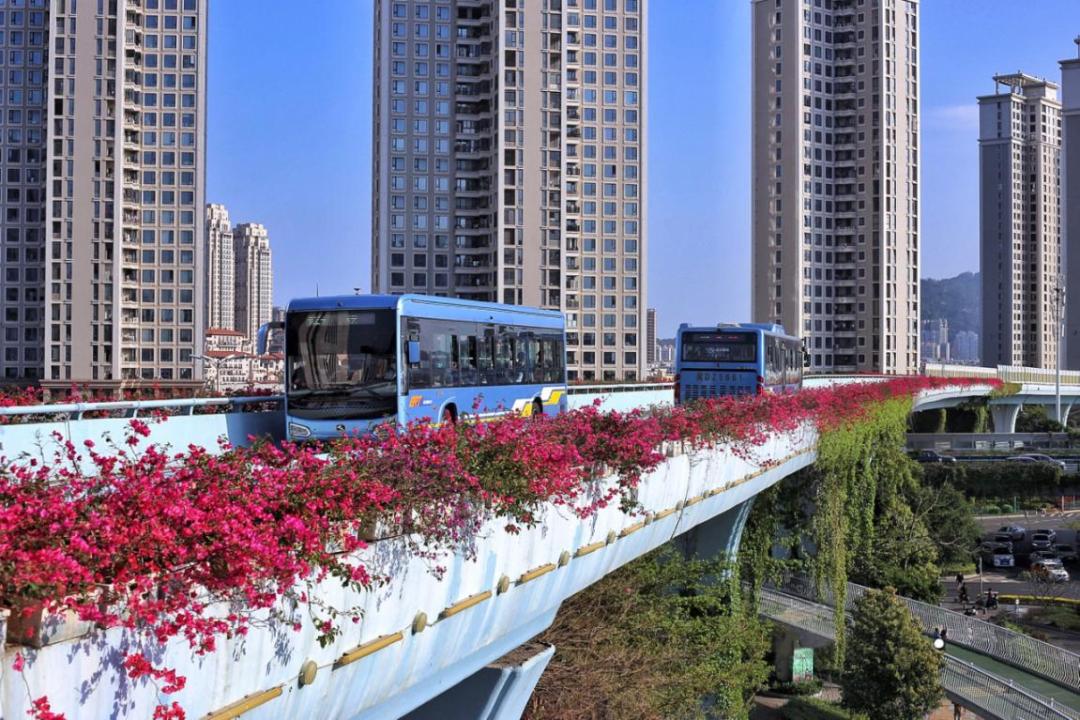 *光春**正好,快来搭乘开往春天的brt~