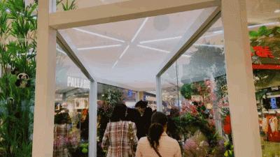 龙湖成都金楠天街,成都龙湖金楠天街哪一期最好