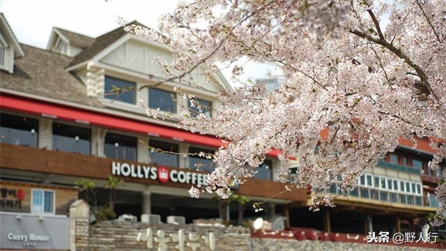 刚刚开放韩国旅游，就去丢人！韩国又一个标语让国人脸红